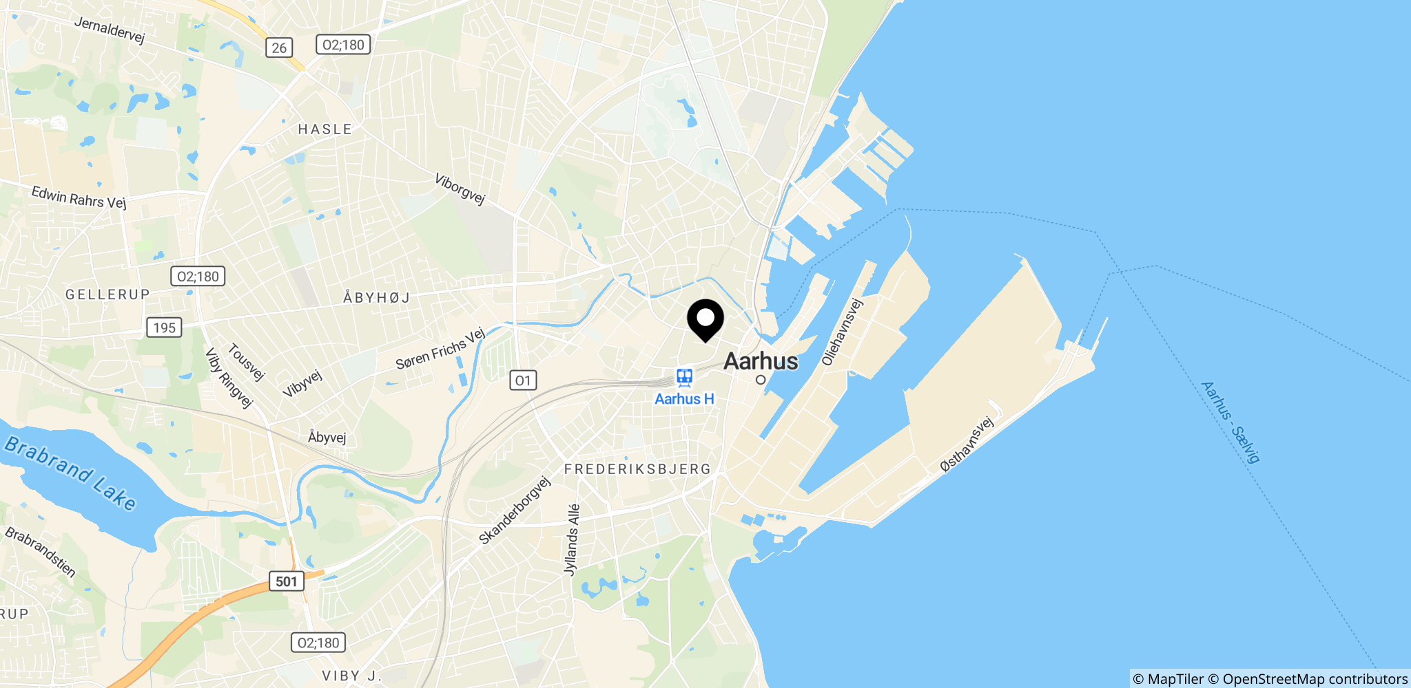 Området omkring Rosenkrantzgade i Aarhus C ved Strøget, hvor affaldet fra et pop-up-udsalg blev set ved offentlige skraldespande og skraldeøer.