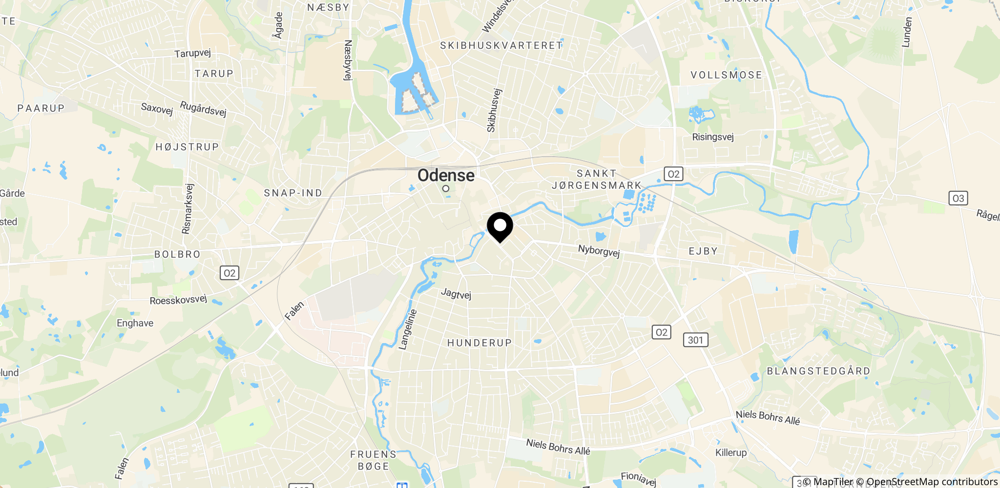 Retten i Odense, stedet for dommen i Amira Smajic-svindelsagen