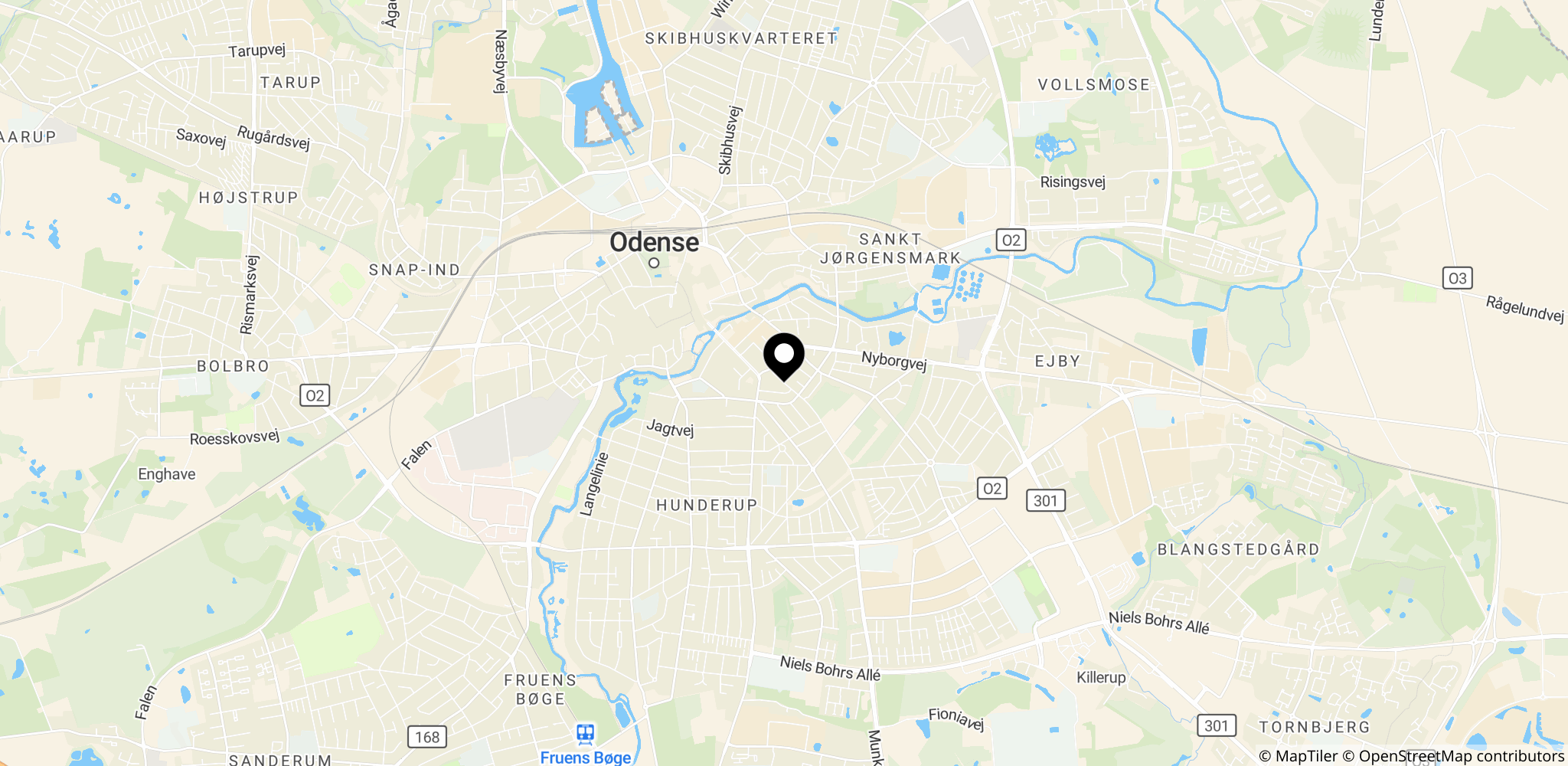 Området omkring Kragsbjergvej i Odense, hvor Lis Fogelberg Christoffersen forlod sit plejehjem