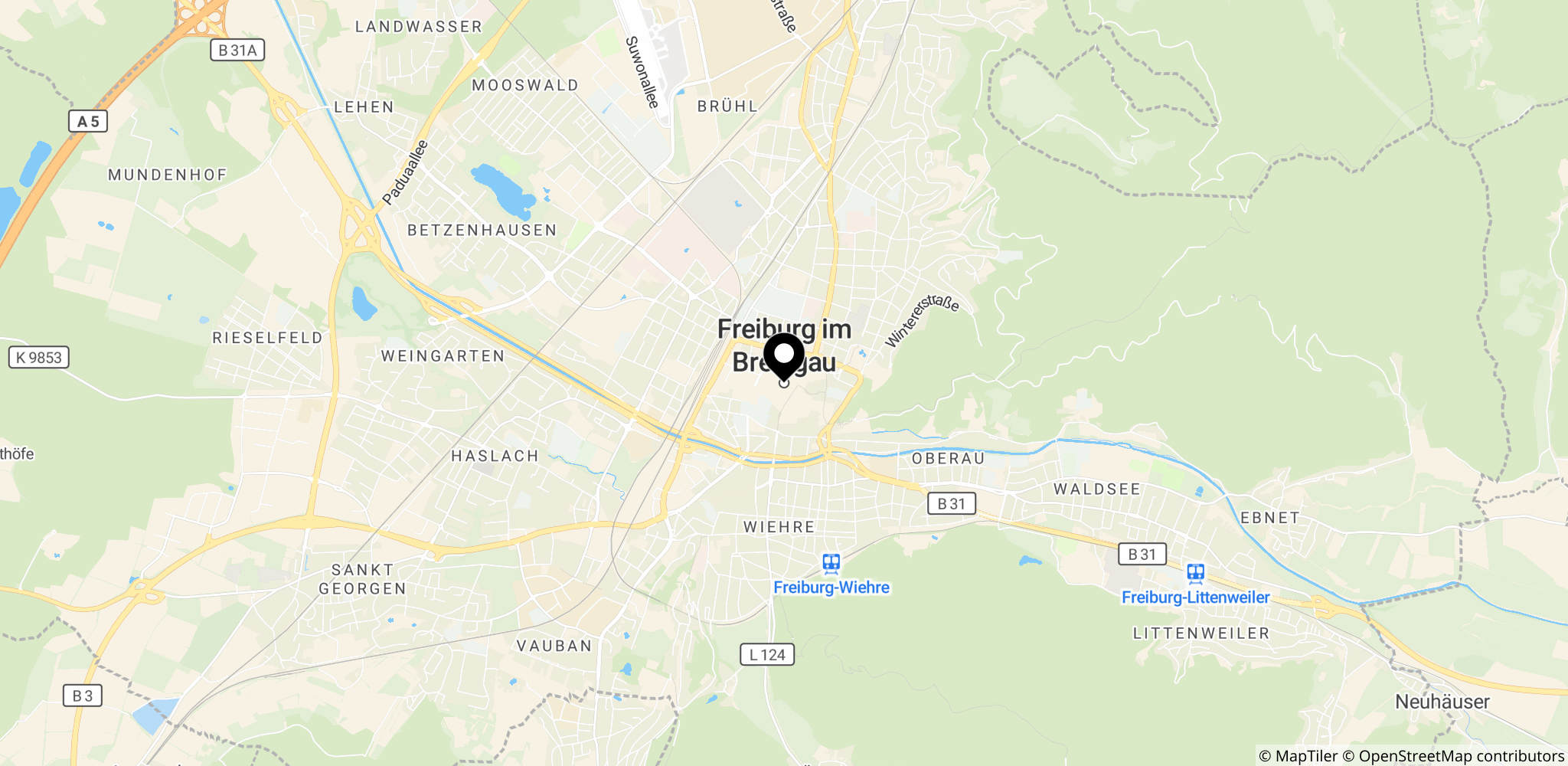 Freiburg i Tyskland – udgangspunktet for Manzambis overgang til Aston Villa