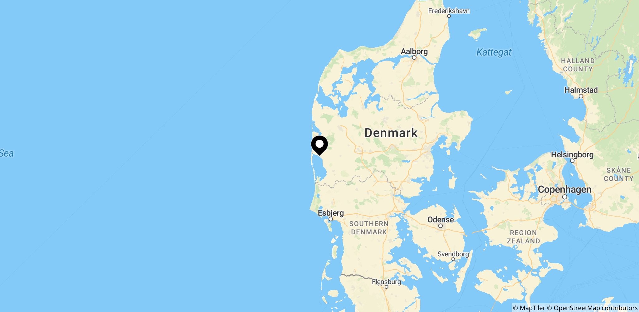 Vestjylland, her Ringkøbing-området, som er en af de vestlige kerneområder i ulvekonflikten i Jylland.