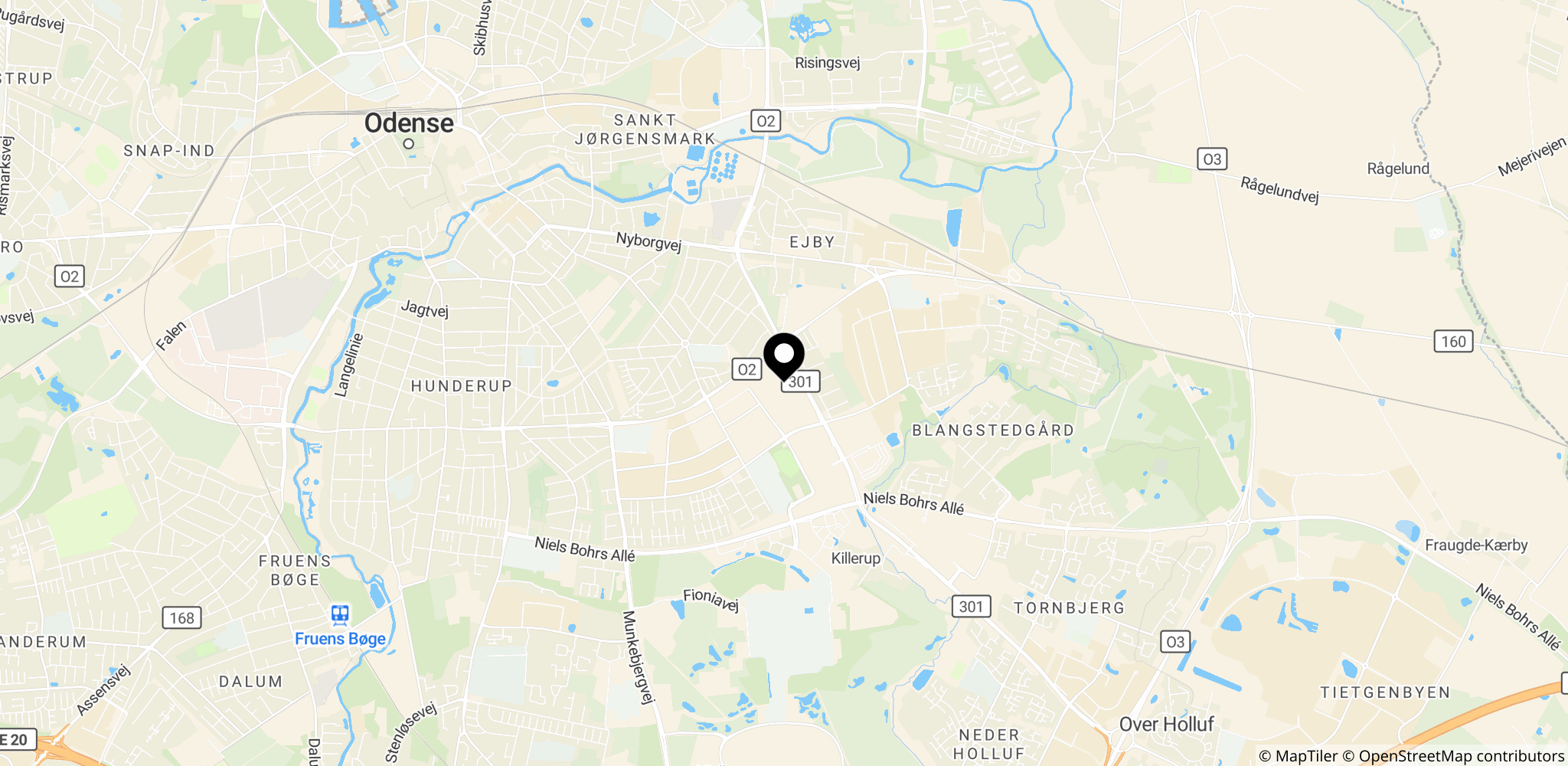 Rosengårdscentret i Odense, stedet for mindeaftenen og biltræffet i sagen.