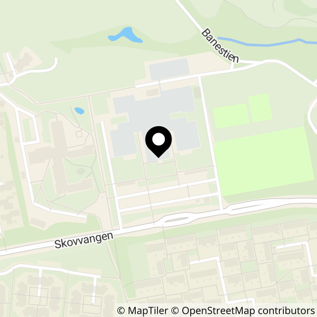 Kort over Skovvangen 10