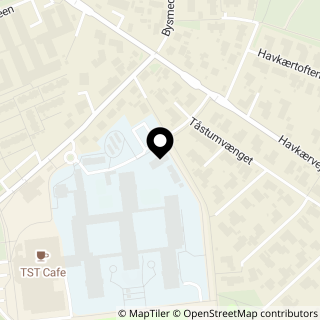 Kort over Tåstumvænget 8