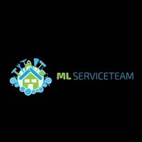 Mlservice Team Scandinavian logo