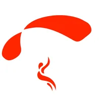 Skydive.dk logo