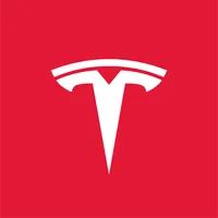 TESLA MOTORS DENMARK logo